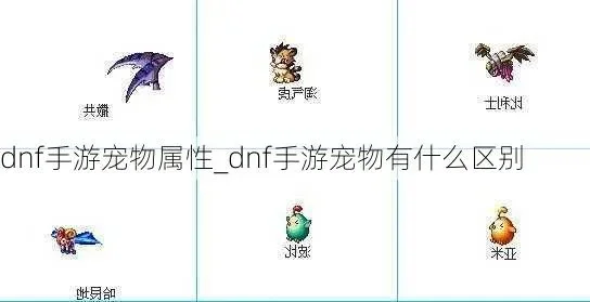 dnf手游宠物有哪些-宠物分类与作用解析