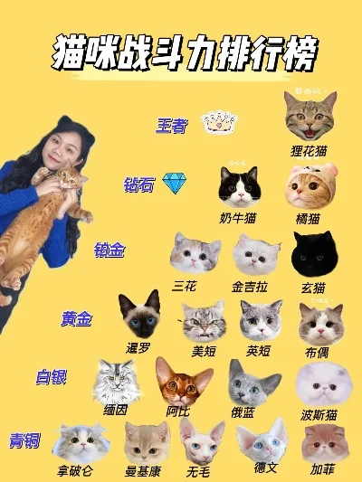 猫咪手游排行榜前十名-猫咪手游排行前十