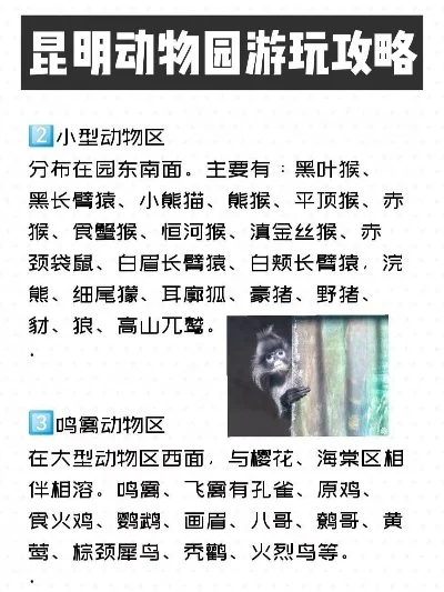 昆明动物园游戏排行榜-昆明动物园趣味排行
